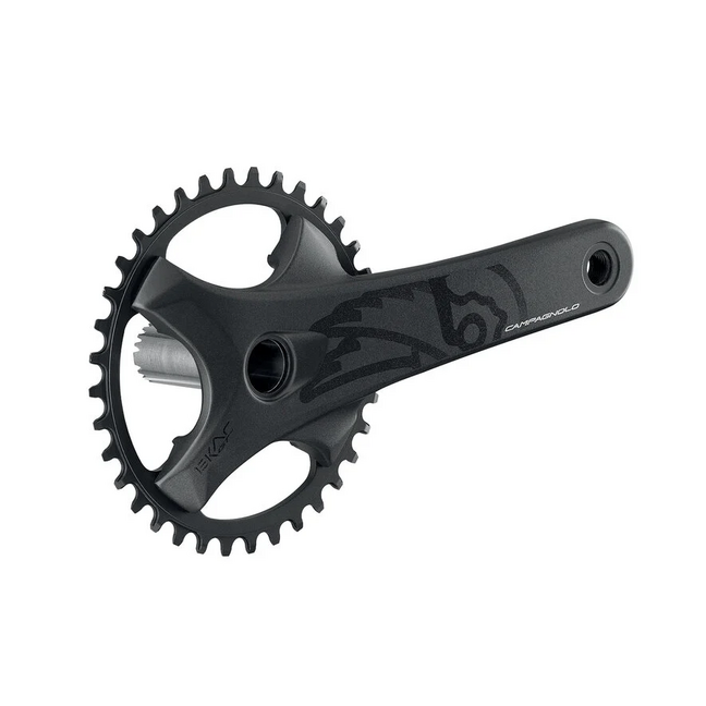 Campagnolo Ekar GT 13S groupset