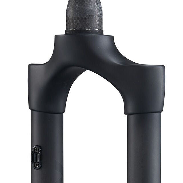 Ritchey WCS Carbon MTB Disc Tapered 29 UD Boost fork