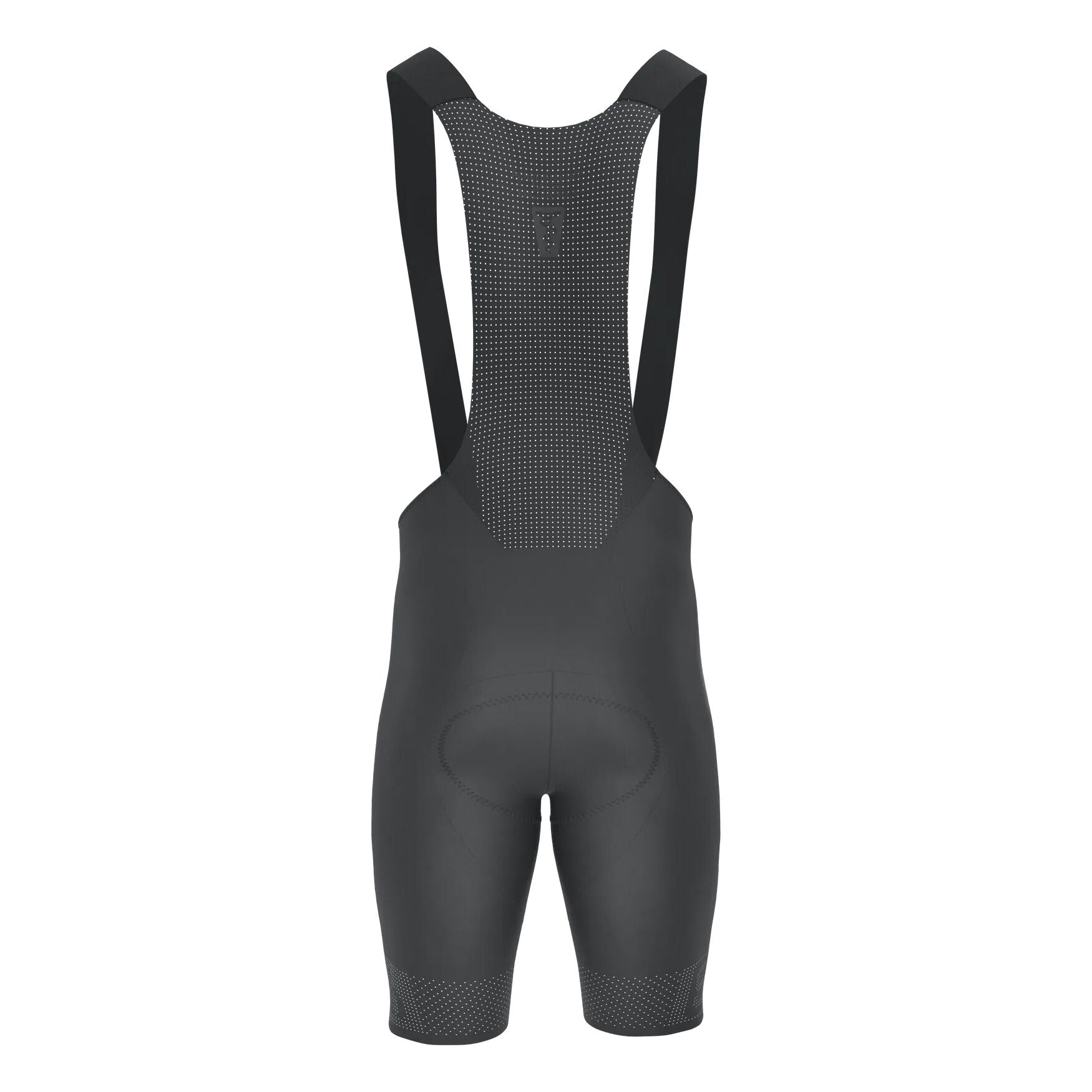 SQlab One 12 R bibshort