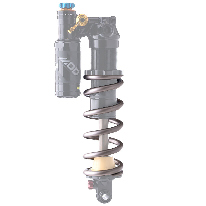 Formula Mod spring shock absorber