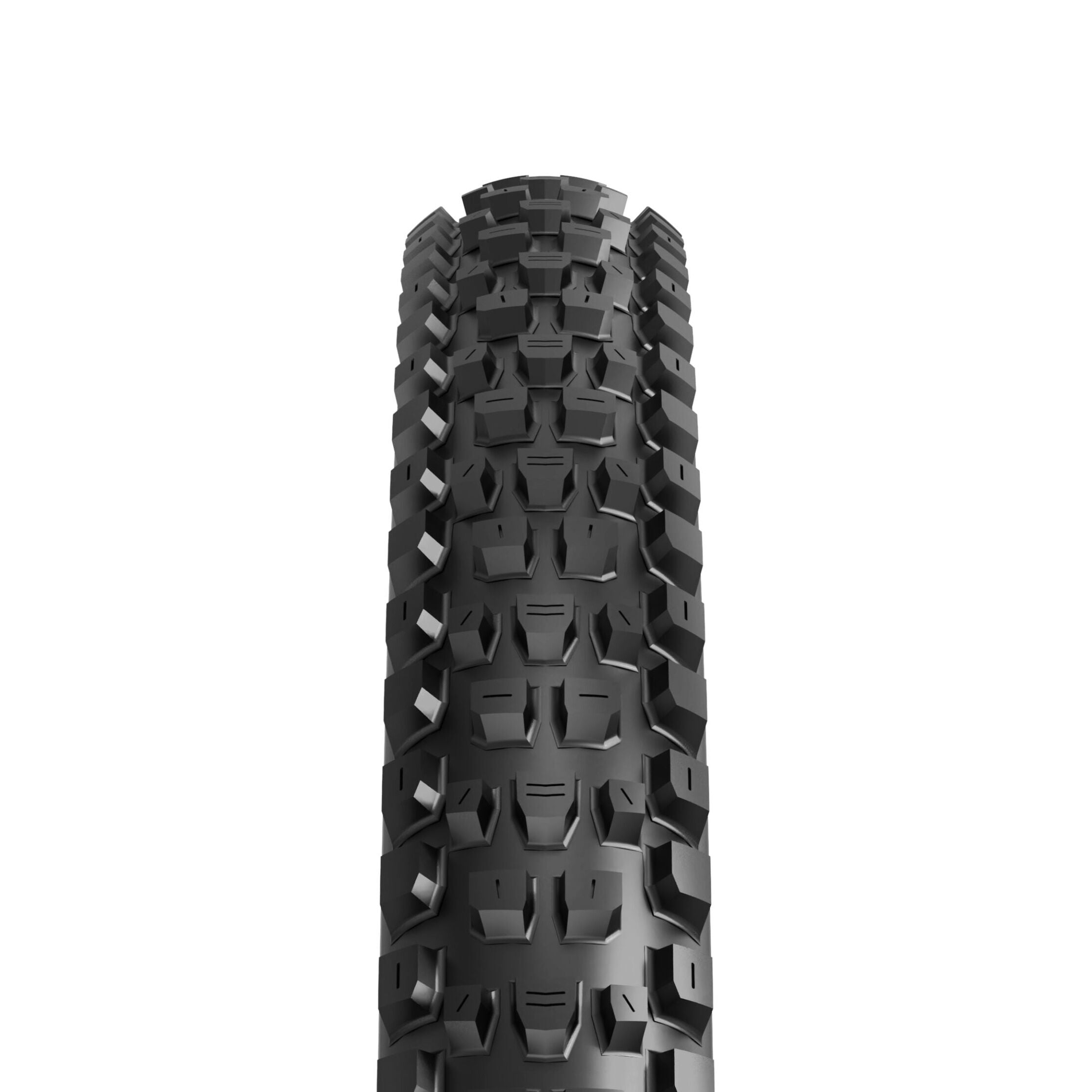 Maxxis Dissector Exo Dual 29" tyre