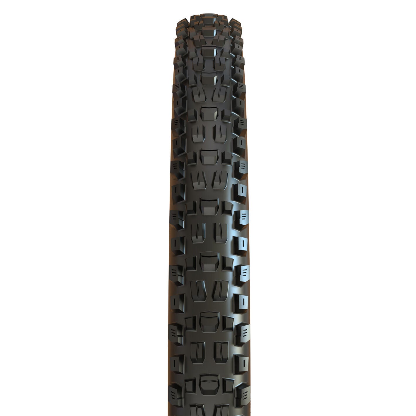 Maxxis Minion DHR II 3C Maxx Terra EXO+ tubeless ready WT 29" tyre